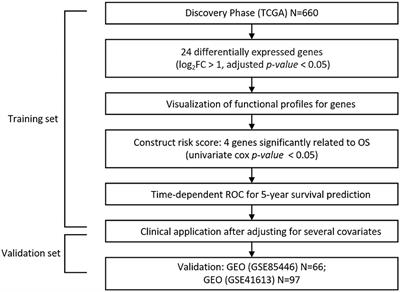 Novel Autophagy-Related Gene Signature Investigation for Patients With Oral Squamous Cell Carcinoma